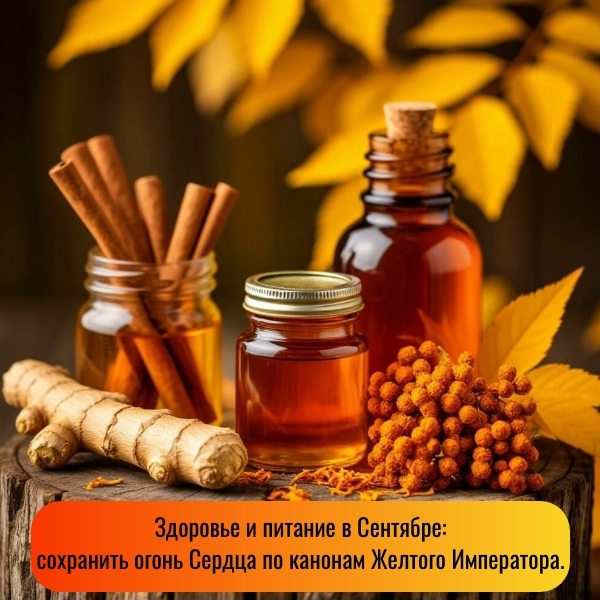 Здоровье и питание в сентябре (ТКМ)