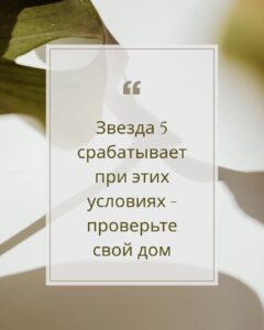 Фэн-шуй — зловредная звезда 5