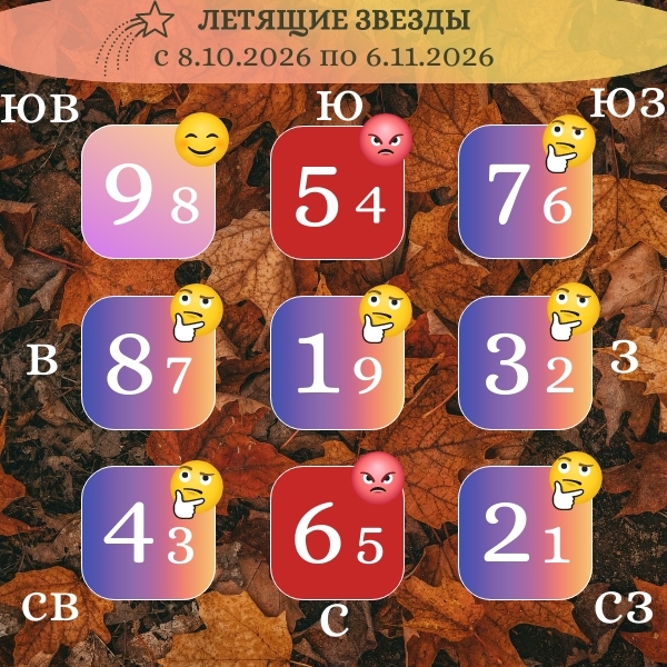 ЛЕТЯЩИЕ ЗВЕЗДЫ ОКТЯБРЬ 2026 ПРОГНОЗ