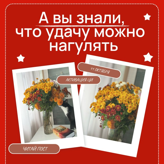🚶‍♂ НАПОЛНИ СЕБЯ УДАЧЕЙ: зарядись энергией Ци!